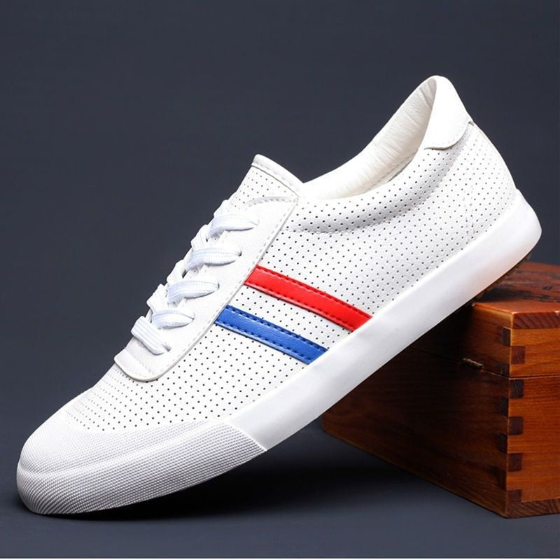Stylish Men’s Breathable Shoes (Stylische Atmungsaktive Herrenschuhe)